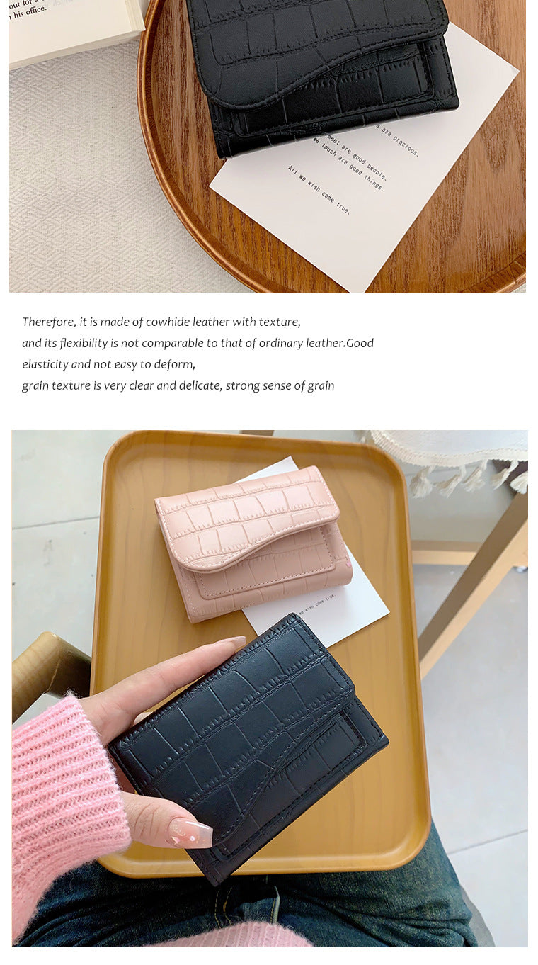 Versatile Colorful Cardholder with Zip – Kitchen Utensil Organizer