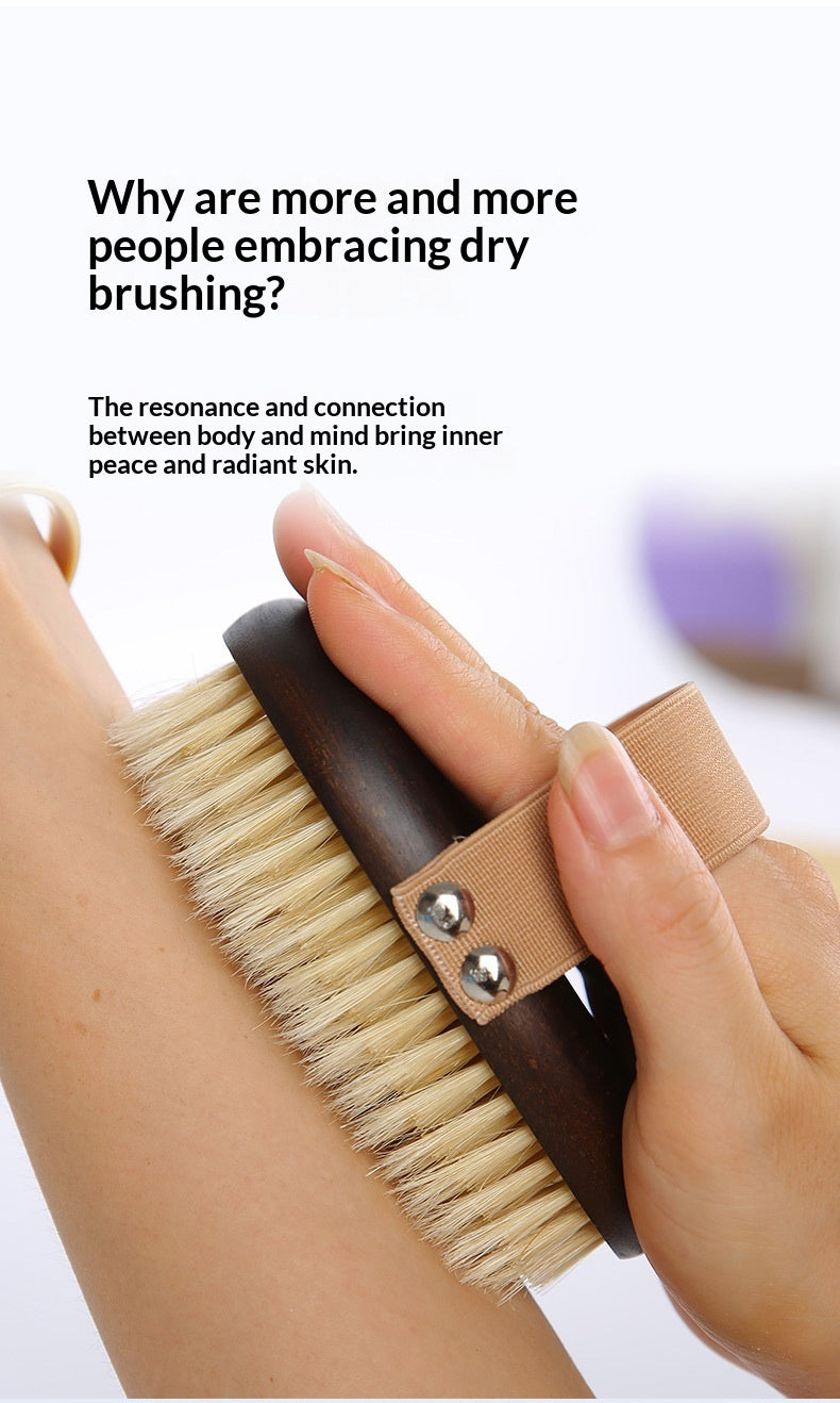 Ergonomic Pet Grooming Brush – Pig Bristle Dry Body Soft Brush