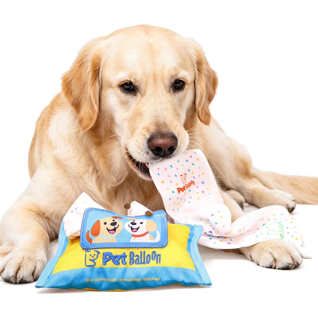 Dog Tissue Box Toy, Snuffle Treat Puzzle With Squeaker Tissue Box Toy