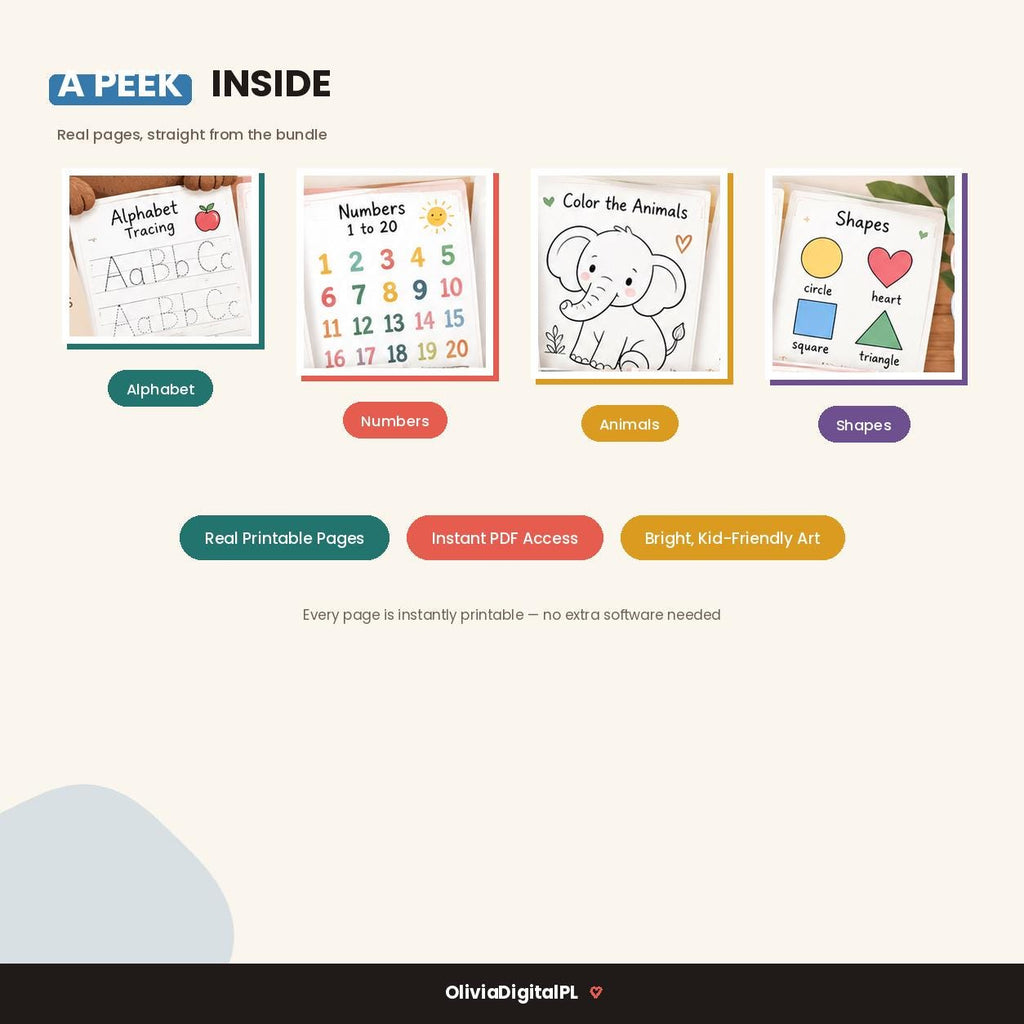 450,000+ Preschool Learning Bundle, Alphabet, Numbers, Coloring (PLR/MRR)