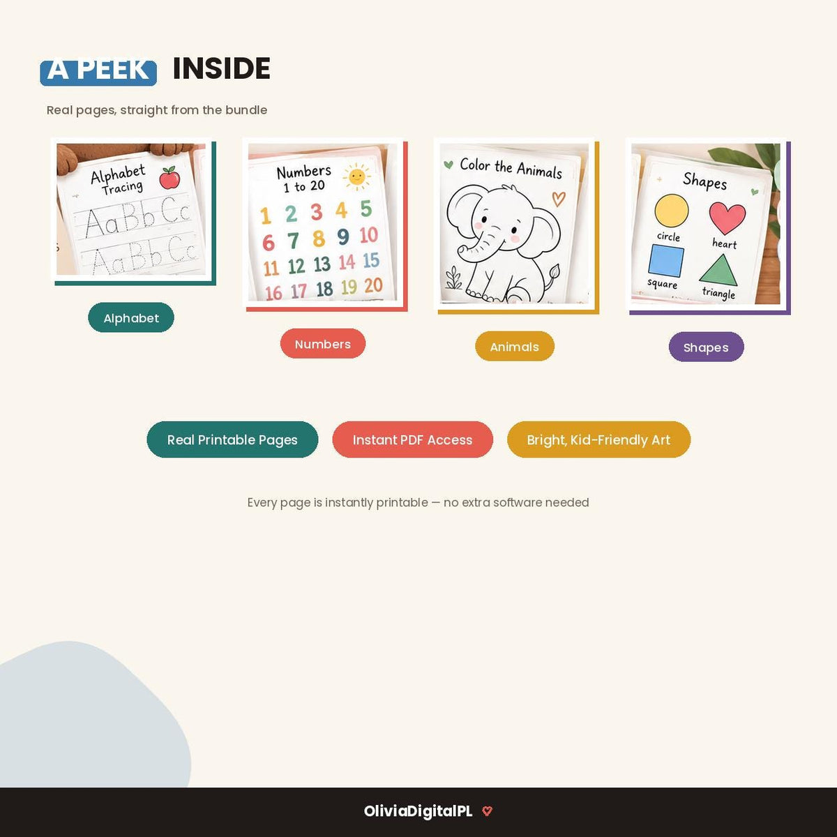 450,000+ Preschool Learning Bundle, Alphabet, Numbers, Coloring (PLR/MRR)